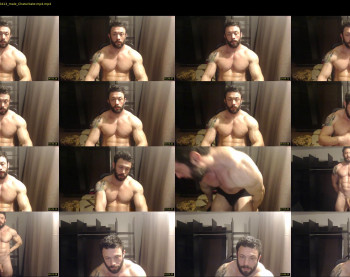 stevebulkzor