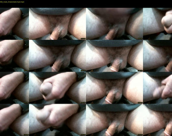 zedzardoz1