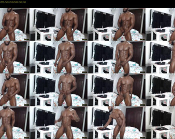 dalehamilton