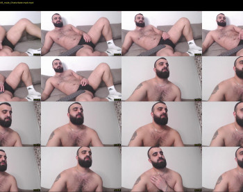 djefri_bear