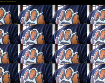 il_undercover
