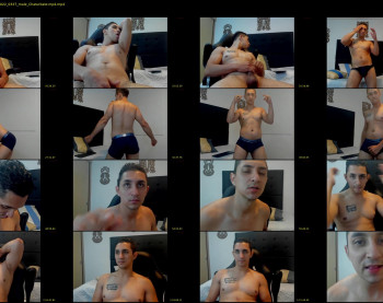 maxi_chester