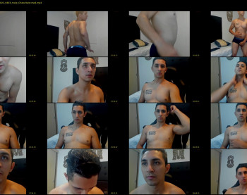 maxi_chester