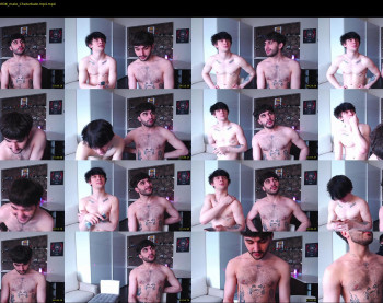 teddy_mode