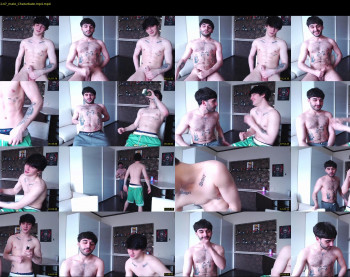 teddy_mode