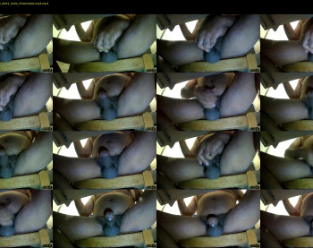 tomdickharry3