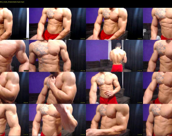 bestmuscle