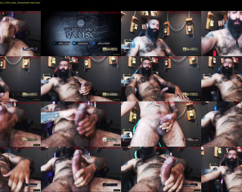 boris_the_animal