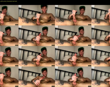 chriswhitefans