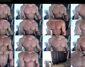 flex_x_x