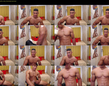 teddyfit19cm