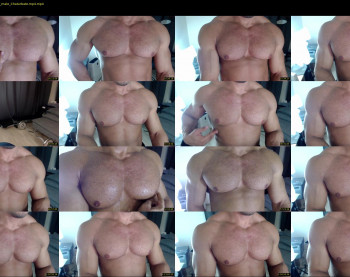 flex_x_x
