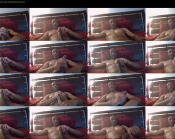 gynosexual