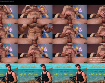 hot_bear_