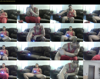 sharkdickwilly