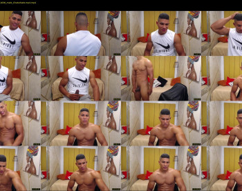 teddyfit19cm