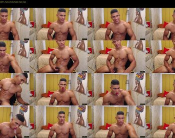 teddyfit19cm