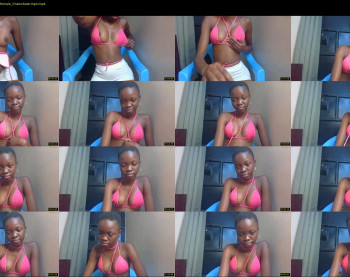 _sassie