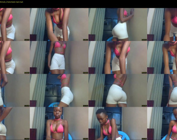_sassie