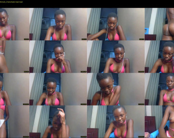 _sassie