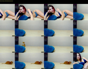 amelinight