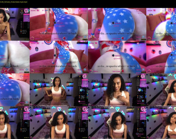 amniemodel