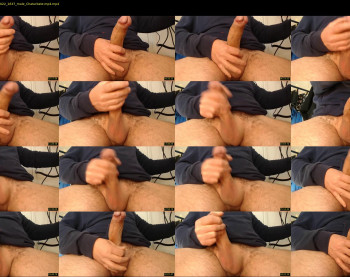 cumplicity_dream