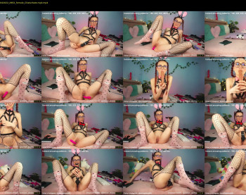 daisys_pleasureisland