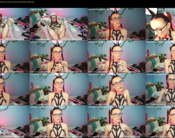 daisys_pleasureisland