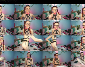 daisys_pleasureisland