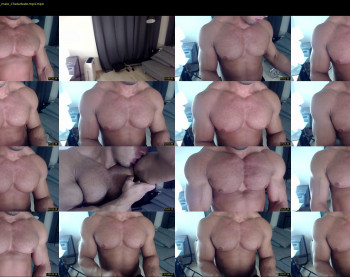 flex_x_x