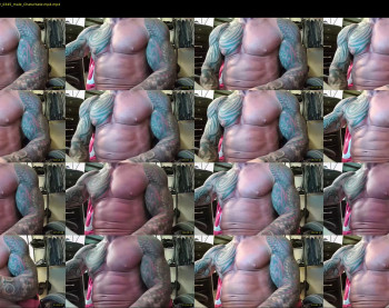 hardbody205a