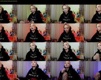 michellelarsson