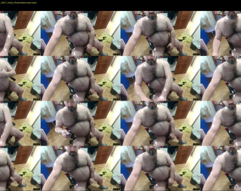 mikeyhotbear