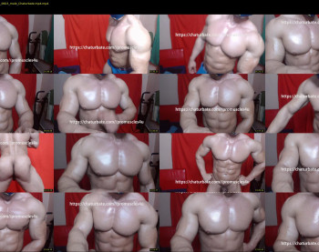 promuscles4u