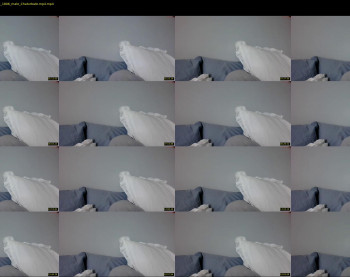 speedychase1