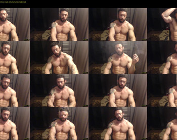 stevebulkzor