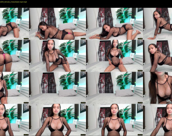 thaidream25