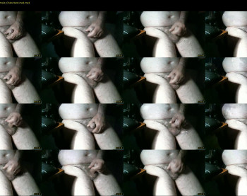 jaboo2
