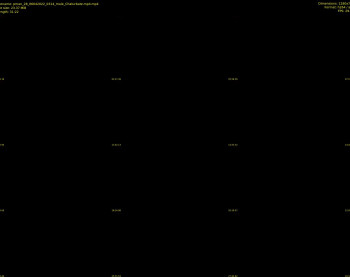 pman_28