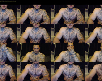 thebestmuscles