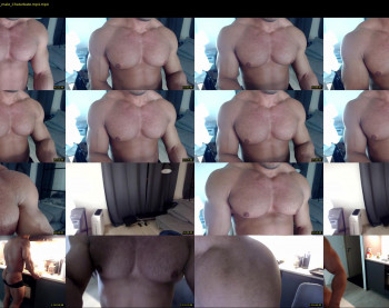 flex_x_x