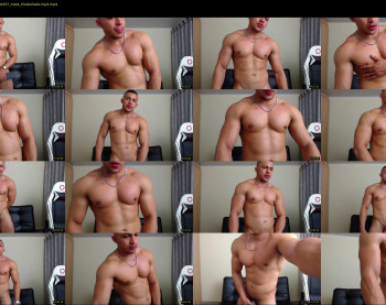 martin_logan