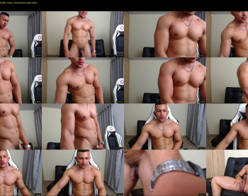 martin_logan