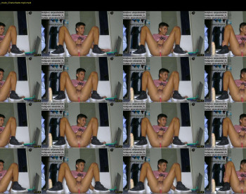 renepc6