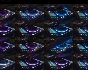 reticuli