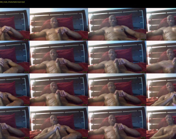 gynosexual