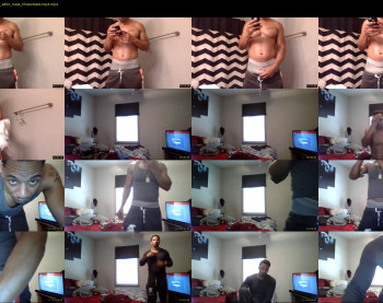 sharkdickwilly