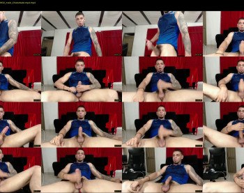 stephalverto