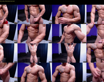 bestmuscle